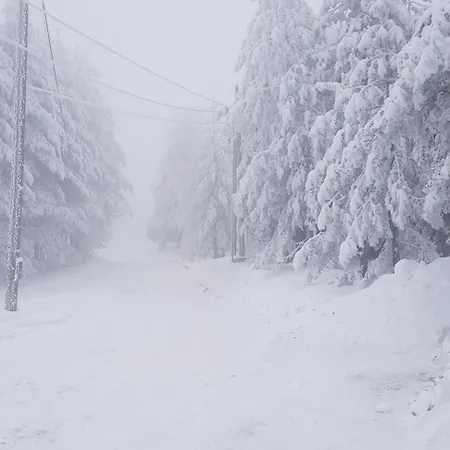 Appartement Niki Borovi Divčibare