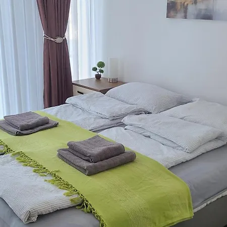 Appartement Niki Borovi