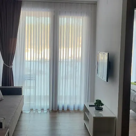 Apartment Niki Borovi