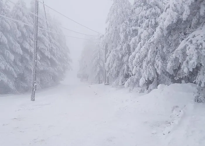 شقة Niki Borovi Divčibare